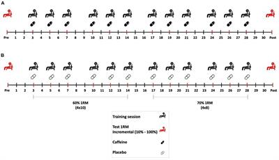 Pre-exercise Caffeine Intake Enhances Bench Press Strength Training Adaptations